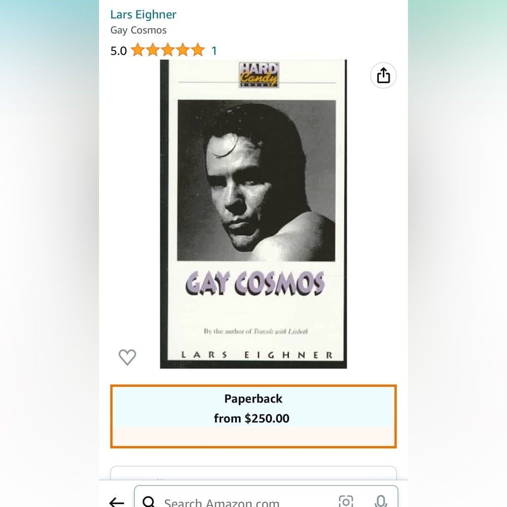 Used rare, collectors item, gay book, entitled, gay, cosmos, author Lars Eighner